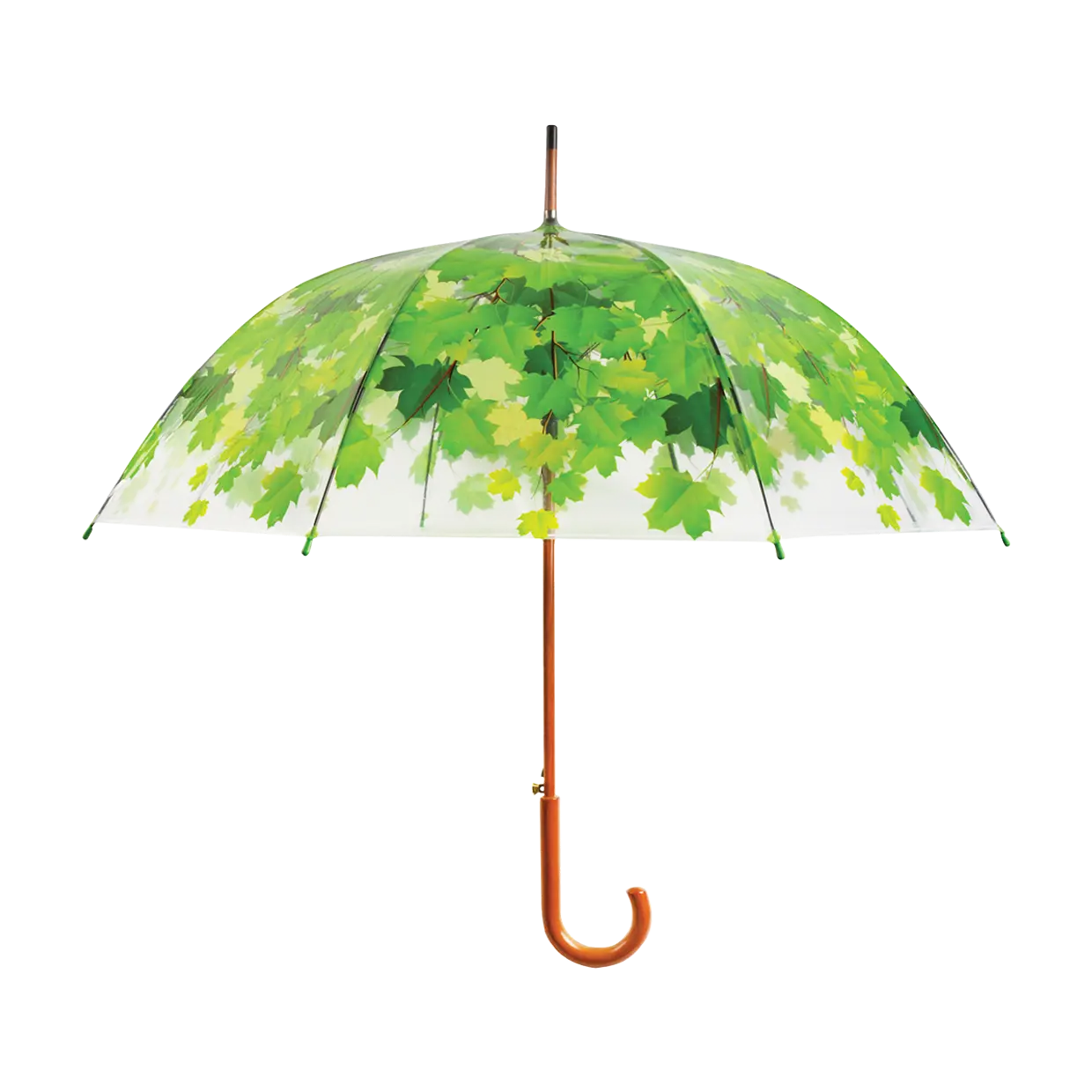 Paraply transparent grønn