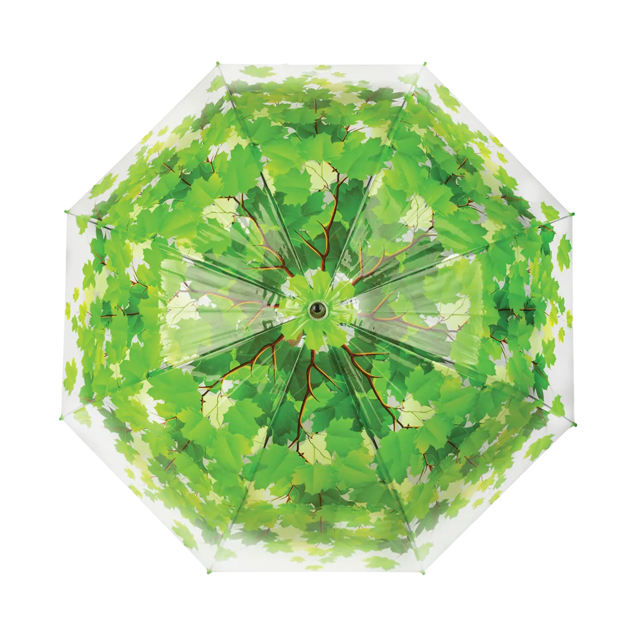 Paraply transparent grønn