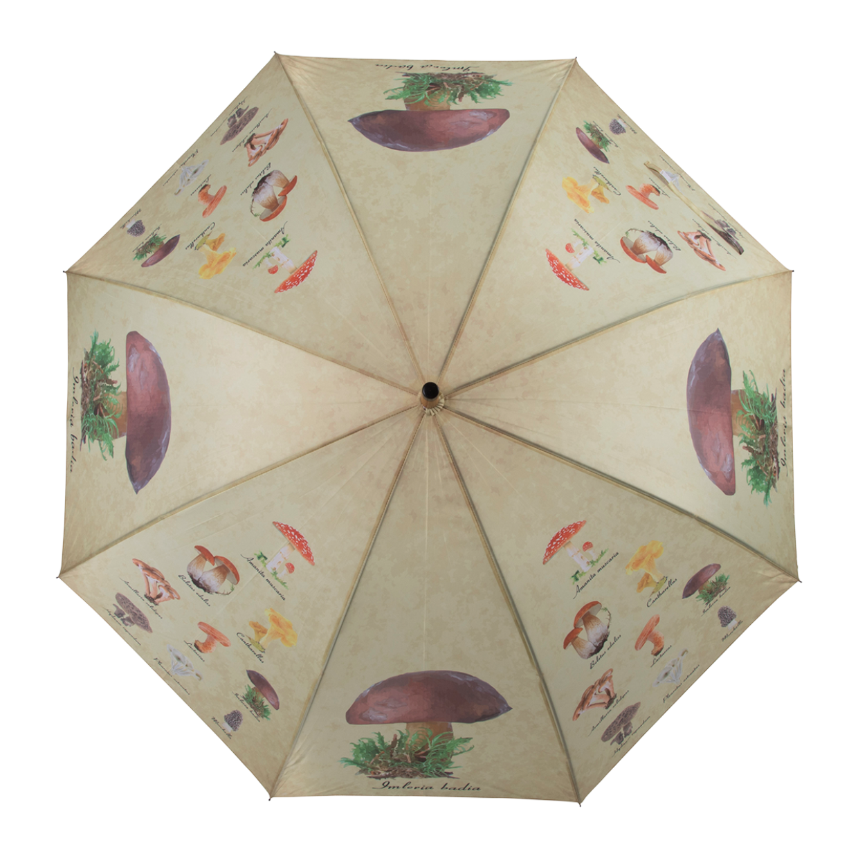 Paraply Sopp.Ø120/95CM