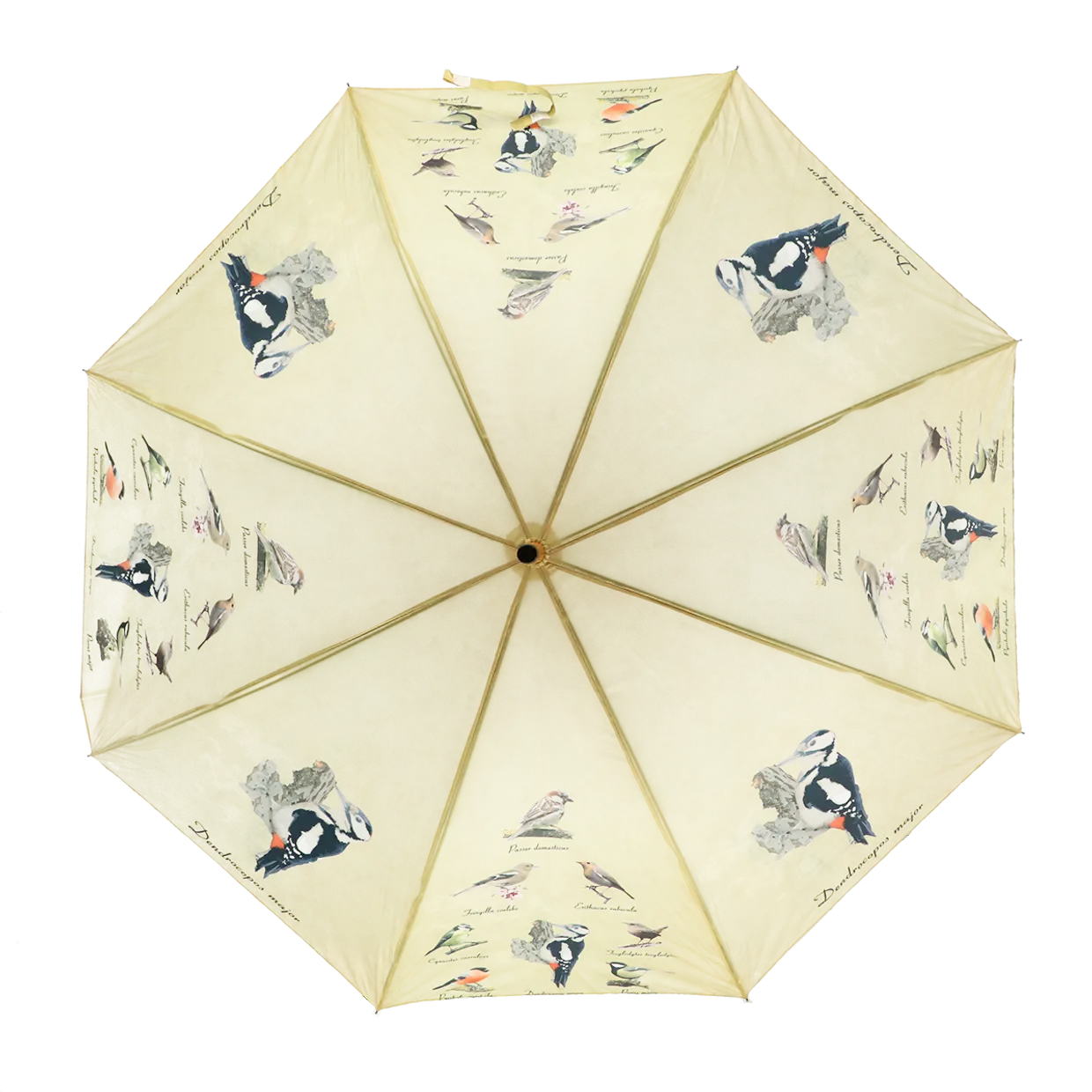 Paraply Fugler (Ø120 cm/95 cm)