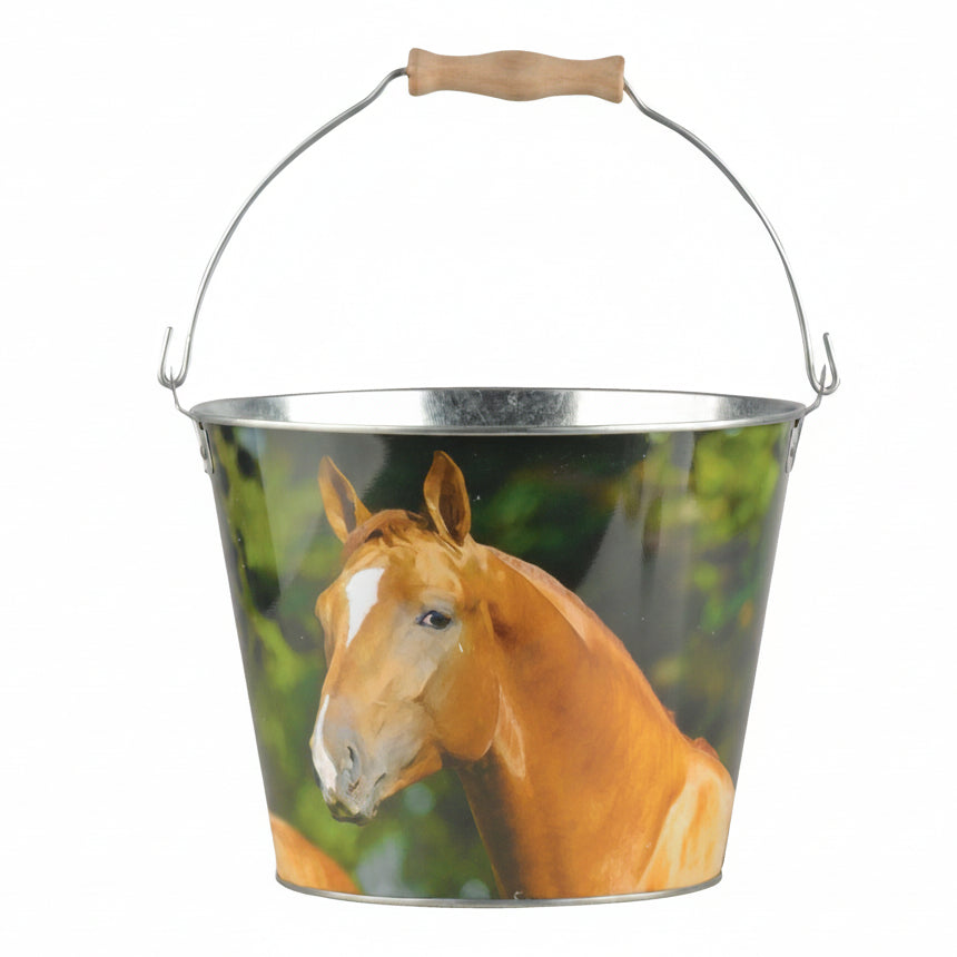 Bøtte Hest 5L