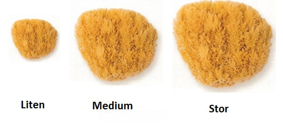 Natursvamp Medium (12-14cm)